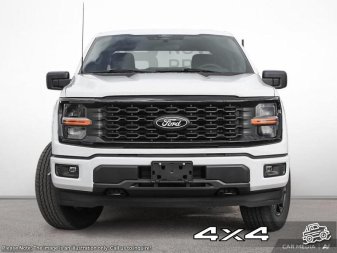Ford F-150 STX 1FTEW2LP9SKD87096 121000