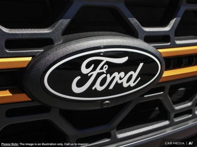2025 Ford F-150 Tremor  - Tailgate Step - Image 8