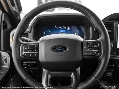 2025 Ford F-150 Tremor  - Tailgate Step - Image 11