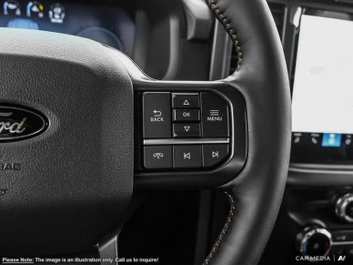 2025 Ford F-150 Tremor  - Tailgate Step - Image 13