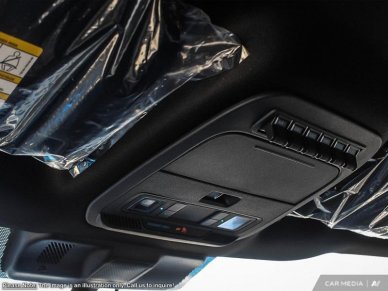 2025 Ford F-150 Tremor  - Tailgate Step - Image 17
