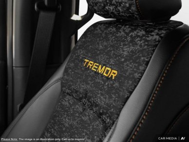 2025 Ford F-150 Tremor  - Tailgate Step - Image 18