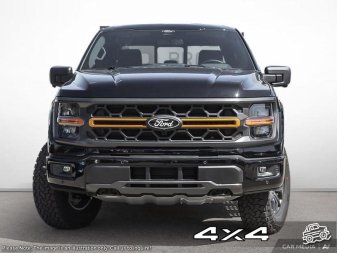 2025 Ford F-150 Tremor  - Tailgate Step - Image 1