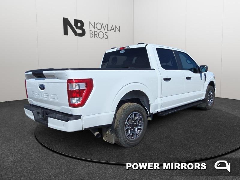 Ford F-150 XL  - Alloy Wheels - Bench Seats 1FTEW1EP4MFC13164 123798