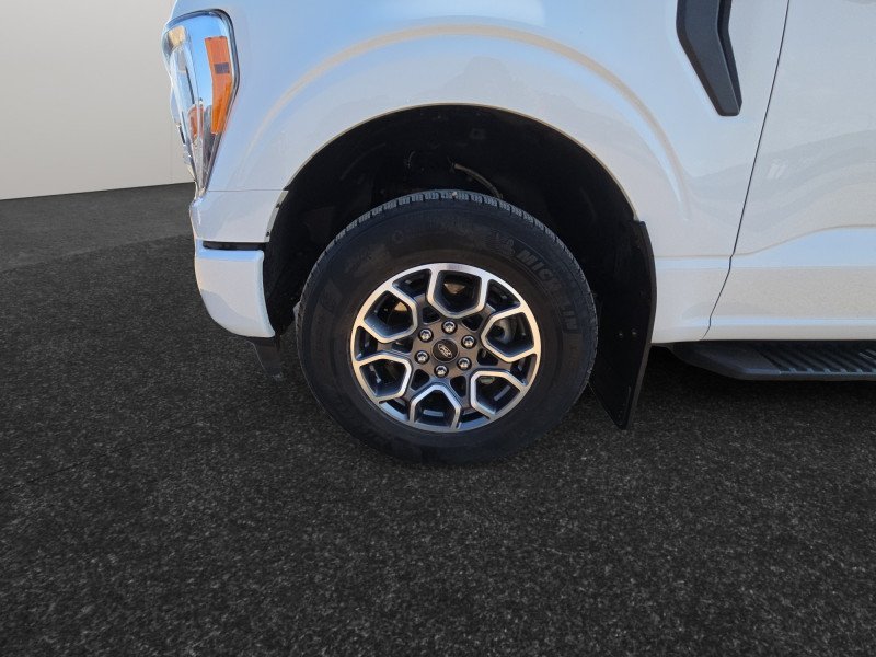 Ford F-150 XL  - Alloy Wheels - Bench Seats 1FTEW1EP4MFC13164 124259