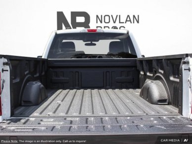 2025 Ford F-150 XL  - XL Series - Fog Lamps - Image 6