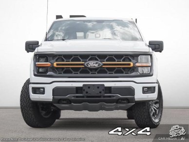 2025 Ford F-150 Tremor  - Tailgate Step - Image 1