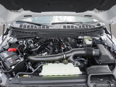 2025 Ford F-150 Tremor  - Tailgate Step - Image 5