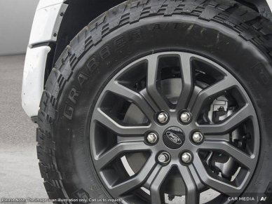2025 Ford F-150 Tremor  - Tailgate Step - Image 7