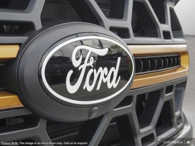 2025 Ford F-150 Tremor  - Tailgate Step - Image 8