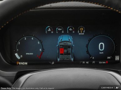 2025 Ford F-150 Tremor  - Tailgate Step - Image 11