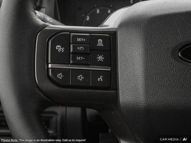 2025 Ford F-150 Tremor  - Tailgate Step - Image 12