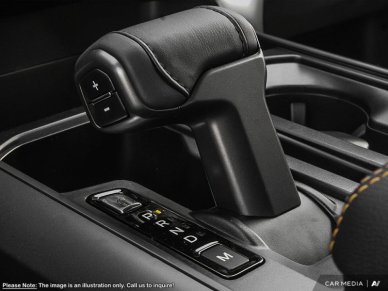 2025 Ford F-150 Tremor  - Tailgate Step - Image 14