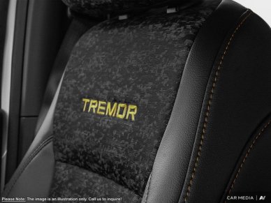 2025 Ford F-150 Tremor  - Tailgate Step - Image 17