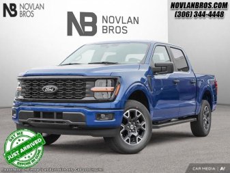 Ford F-150 STX 1FTEW2LP7SKE16790 124359