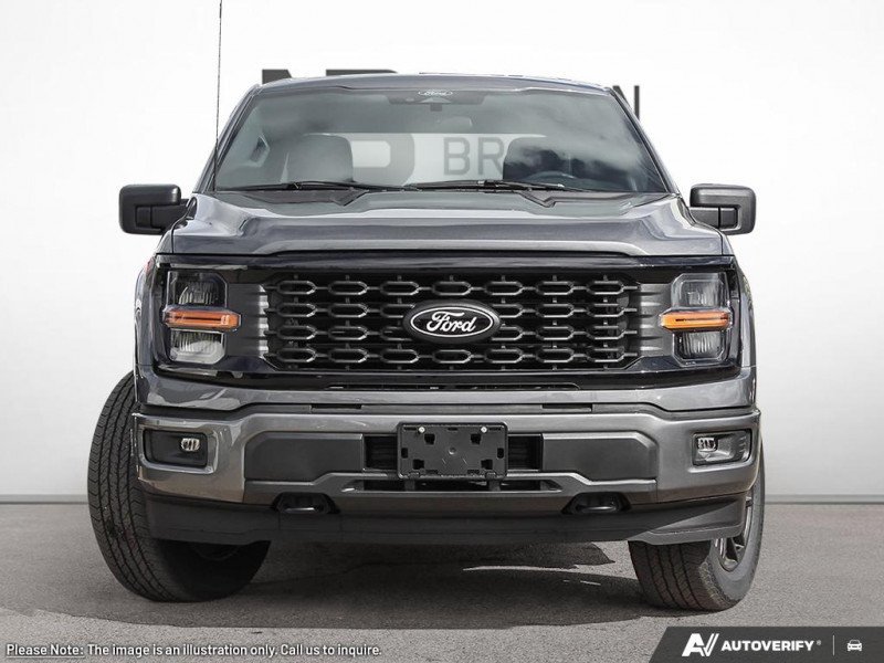 Ford F-150 STX 1FTEW2LP3SKF20709 130217