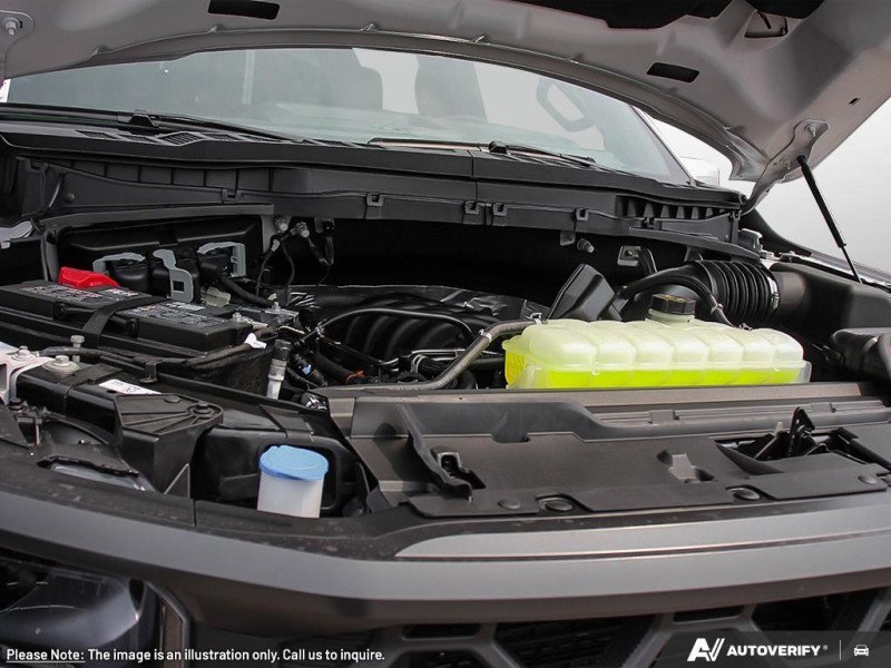 Ford F-150 Tremor  - Leather Seats - Premium Audio 1FTFW4L88SFB99123 128972