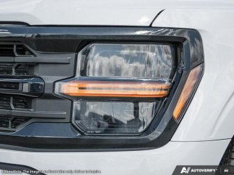 2025 Ford F-150 XLT - Image 9