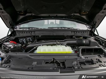 2025 Ford F-150 Tremor  - Leather Seats - Premium Audio - Image 5