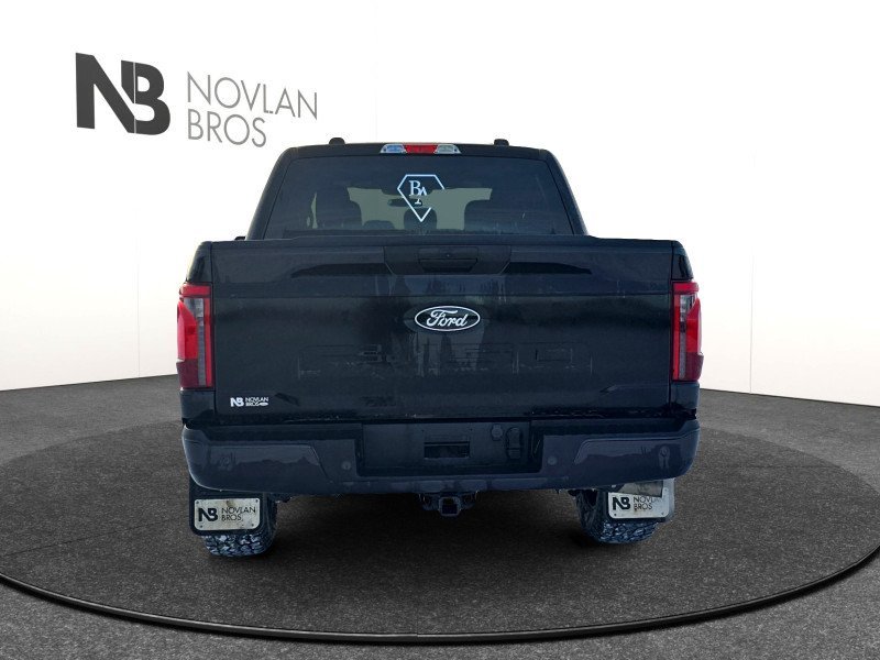 Ford F-150 STX  - Bucket Seats 1FTEW2LPXSKE05265 132148