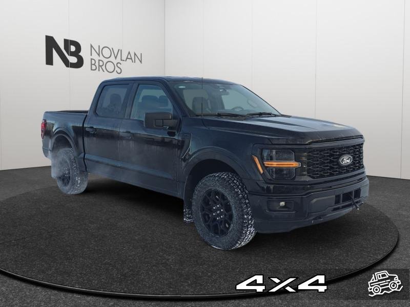 Ford F-150 STX  - Bucket Seats 1FTEW2LPXSKE05265 132285