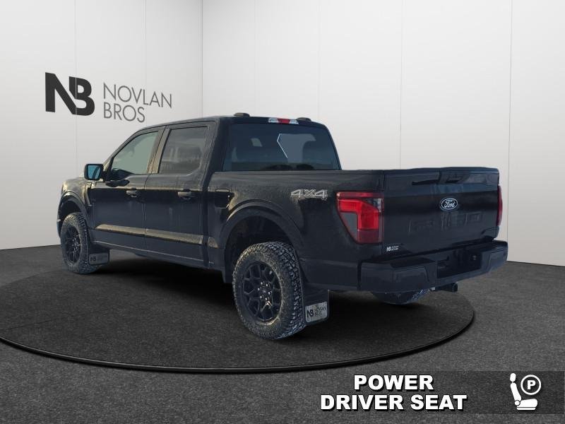 Ford F-150 STX  - Bucket Seats 1FTEW2LPXSKE05265 132287