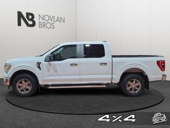 2023 Ford F-150 XLT  - Alloy Wheels - Low Mileage - Image 2