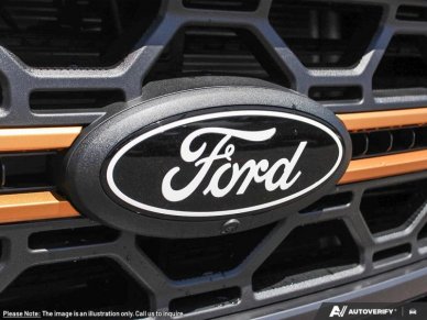 2025 Ford F-150 Tremor  - Tailgate Step - Image 8