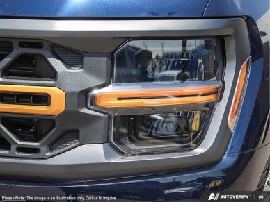 2025 Ford F-150 Tremor  - Tailgate Step - Image 9