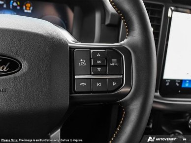 2025 Ford F-150 Tremor  - Tailgate Step - Image 13