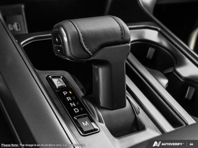 2025 Ford F-150 Tremor  - Tailgate Step - Image 15