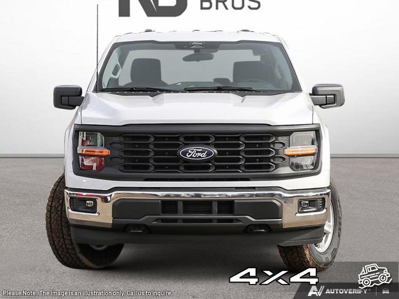 Ford F-150 XL 1FTMF1L50SKF62694 132452