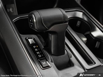 2025 Ford F-150 XLT  - Tow Package - Tailgate Step - Image 15