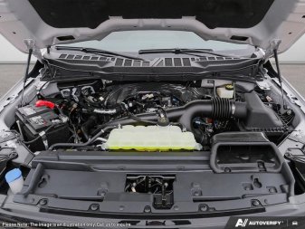 Ford F-150 XLT  - Tow Package 1FTFW3L8XSKF83888 133914