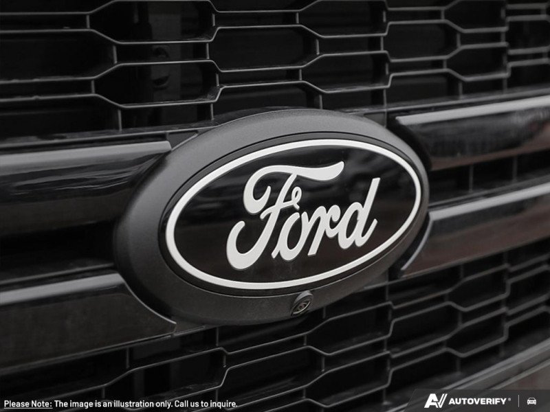 Ford F-150 Lariat  - Tow Package 1FTFW5L84SFC48856 134636