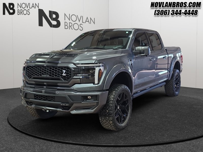 Ford F-150 Shelby Off Road  -  premium luxury 1FTFW5L5XTFA48734 141878