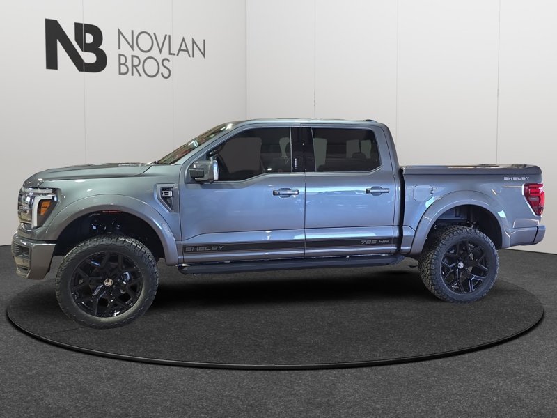 Ford F-150 Shelby Off Road  -  premium luxury 1FTFW5L5XTFA48734 141880