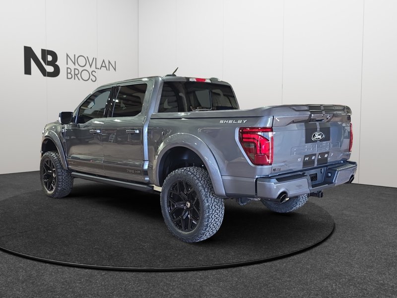 Ford F-150 Shelby Off Road  -  premium luxury 1FTFW5L5XTFA48734 141881