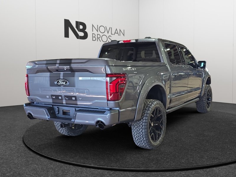 Ford F-150 Shelby Off Road  -  premium luxury 1FTFW5L5XTFA48734 141883