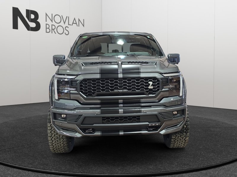 Ford F-150 Shelby Off Road  -  premium luxury 1FTFW5L5XTFA48734 141885