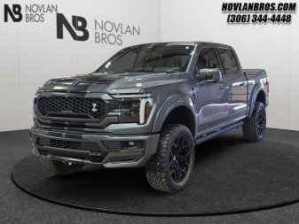 Ford F-150 Shelby Off Road  -  premium luxury 1FTFW5L5XTFA48734 141878