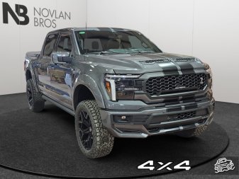 Ford F-150 Shelby Off Road  -  premium luxury 1FTFW5L5XTFA48734 141879