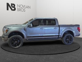 Ford F-150 Shelby Off Road  -  premium luxury 1FTFW5L5XTFA48734 141880