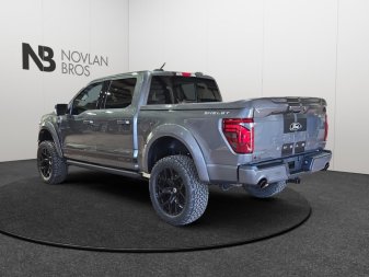 Ford F-150 Shelby Off Road  -  premium luxury 1FTFW5L5XTFA48734 141881