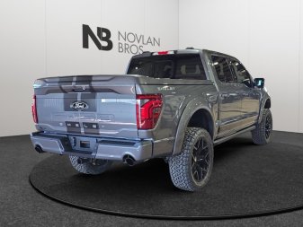 Ford F-150 Shelby Off Road  -  premium luxury 1FTFW5L5XTFA48734 141883