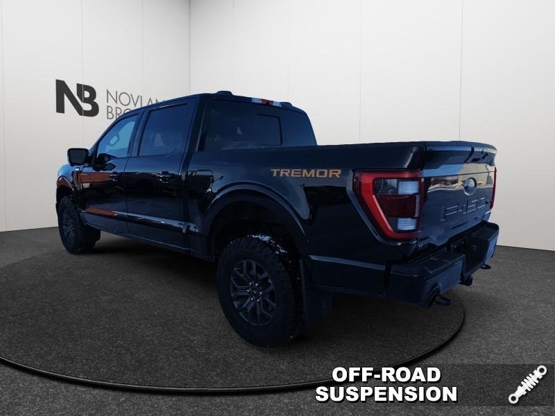 Ford F-150 Tremor  - 402A Package -  Remote Start 1FTEW1E88NFA36032 135098