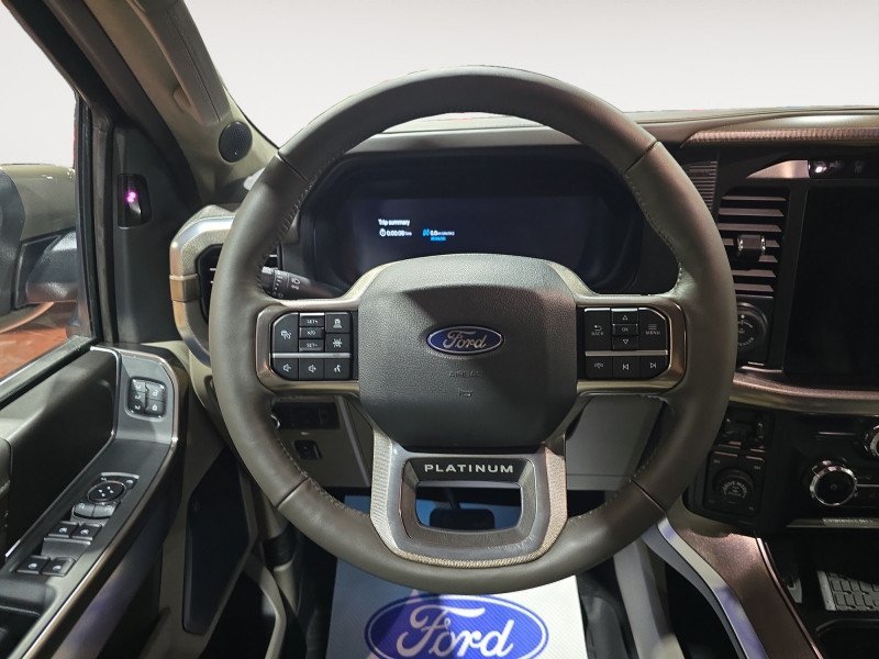 Ford F-150 Platinum  - Sunroof 1FTFW7LD2TFA09526 135355