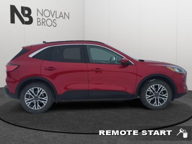 2020 Ford Escape SEL 4WD  - Heated Seats - Image 6