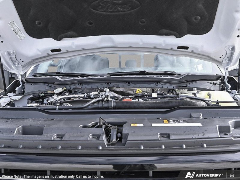 Ford F-350 Super Duty Platinum  - Premium Audio 1FT8W3BM0TED84551 136059