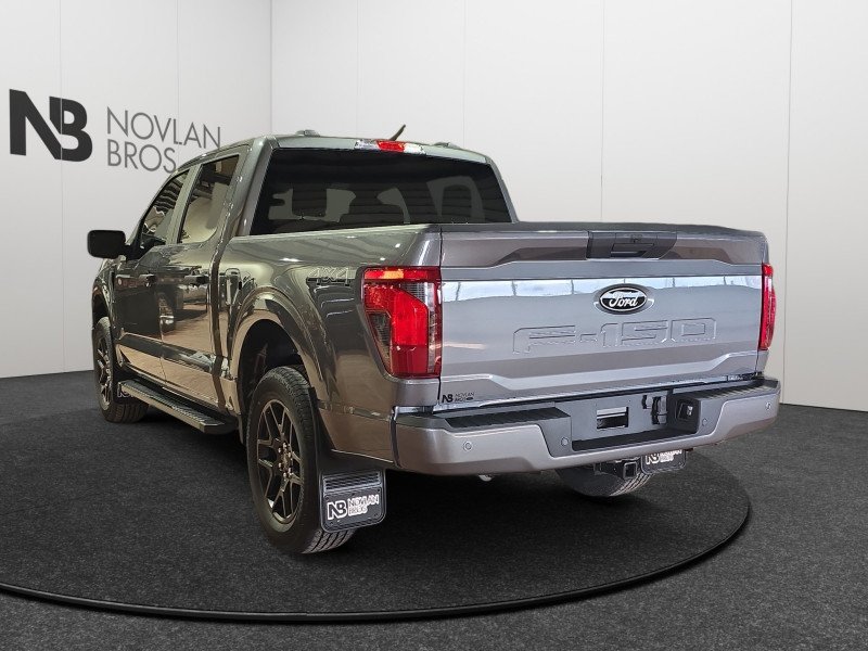 Ford F-150 STX  - 20 inch Wheels - Fog Lamps 1FTEW2LP4TKD38342 137006